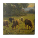 Suche nach ländlich fliesen Nutztiere