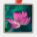Suche nach kulturen ornamente Blume