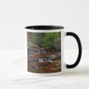 Suche nach zion national park tassen Fluss