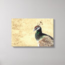 Suche nach peacock leinwandbilder Schön