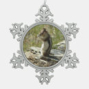 Suche nach niedliches eichhörnchen ornamente Fotografie