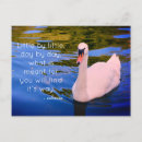 Suche nach swans postkarten Vogelvogel