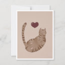 Suche nach cute cat poster Katze