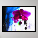 Suche nach magentarot poster Farbe