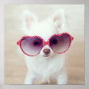 Suche nach niedlicher hund poster Tierisch