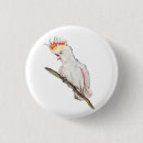 Suche nach lustiger papagei buttons Vogelvogel