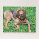Suche nach jagdhunde puzzle Jäger