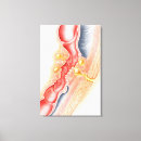 Suche nach detail leinwandbilder Rot
