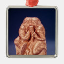 Suche nach getränke ornamente Verzierung