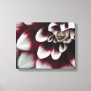 Suche nach dahlie leinwandbilder Blumen