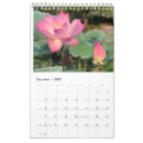 Suche nach rosa kalender Blume