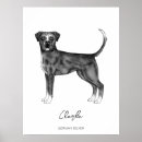 Suche nach boxerhund poster Haustier