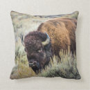 Suche nach bison kissen Tier