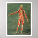 Suche nach bedingung poster Gautier