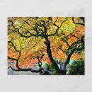 Suche nach ruhige landschaft postkarten Landschaftlich