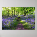 Suche nach blauer wald poster Blume