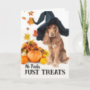 Suche nach trick oder leckerei alle karten Herbst