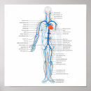 Suche nach system poster Human