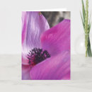 Suche nach anemonen karten Blume