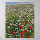 Suche nach ochse poster Natur