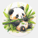 Suche nach bamboo aufkleber Aquarell