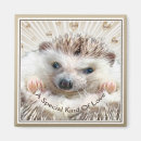 Suche nach igel magnete Tiere
