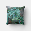 Suche nach fern kissen Pflanze