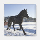 Suche nach länder magnete Anziehen