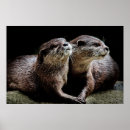 Suche nach otter kunst poster Natur