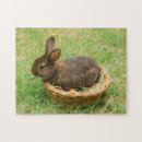 Suche nach osterhase puzzle Niedlich