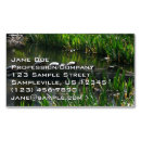 Suche nach schildkröten visitenkarten Natur