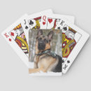 Suche nach schneehund Deutscher hirte