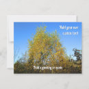 Suche nach autumn postkarten Blätter