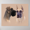 Suche nach doggen poster Welpe