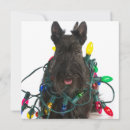 Suche nach scottish terrier karten Hund