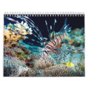 Suche nach fische kalender Clownfish