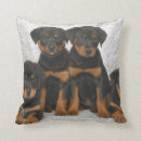 Suche nach rottweiler kissen Welpe