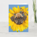Suche nach mops liebhaber karten Niedlich