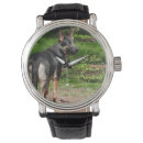 Suche nach deutscher schäferhund accessoires Welpe