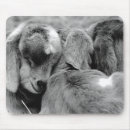 Suche nach ziegen mousepads Bauernhof