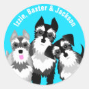 Suche nach tierärzte aufkleber Für sie