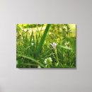 Suche nach wildblumen leinwandbilder Quelle