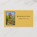 Suche nach lustige giraffen visitenkarten Safari