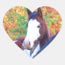 Suche nach schönes pferd aufkleber Tiere