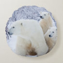 Suche nach eisbären kissen Jungtier