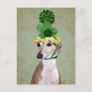 Suche nach für den windhund postkarten Greyhound dog
