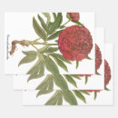 Suche nach pfingstrosen geschenkpapier Natur