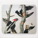 Suche nach james mousepads Audubon