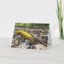 Suche nach slug karten Schlampe
