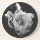 Suche nach schwarze blume untersetzer Natur